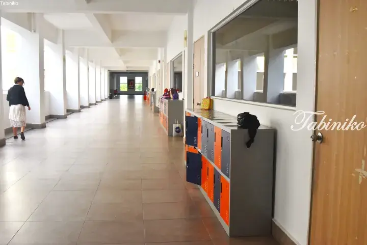 A student walks down a bright school corridor lined with orange and blue lockers and large windows.