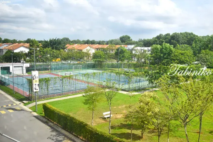 Outdoor sports court with blue and red surfaces surrounded by green fencing, set in a lush residential area with houses and trees.
