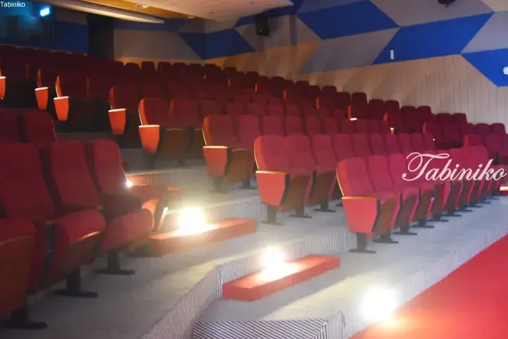 Rows of red cinema seats in a modern auditorium with blue geometric wall patterns and step lighting.