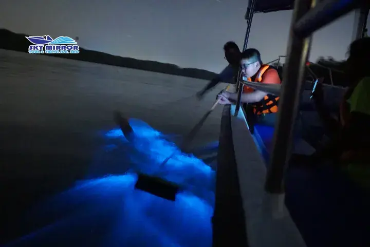 Malaysia Sea Firefly(Blue Tears)(Same place as Malaysia Sky Mirror)Day Trip Hot Spot from KL