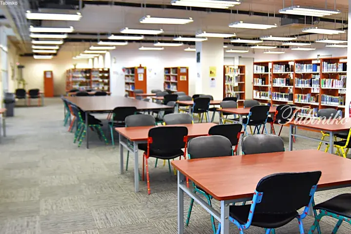 Spacious modern library with wooden tables, colorful chairs, and bookshelves in a bright open-plan study area.