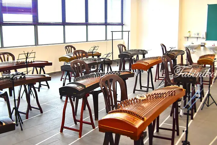 Rows of traditional zithers on stands in a bright music classroom with large windows.
