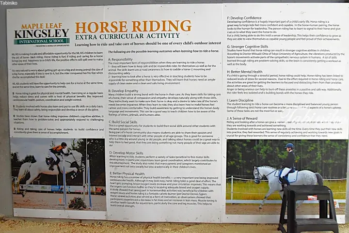 Poster for Maple Leaf Kingsley International School’s horse riding extracurricular activity.