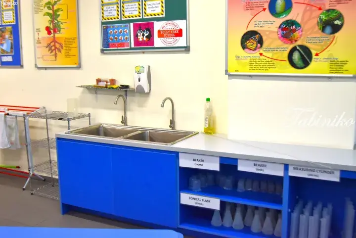 School science lab with blue cabinets, double sink, and labeled beakers, conical flasks, and measuring cylinders.