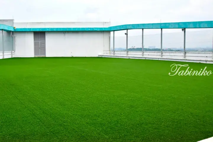 Spacious rooftop terrace with artificial grass and blue accents, offering panoramic views of the city skyline.
