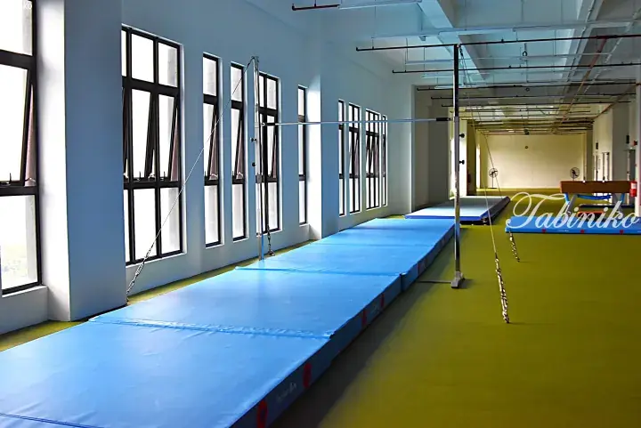 Bright gymnasium with blue mats and high windows, showcasing modern property amenities.