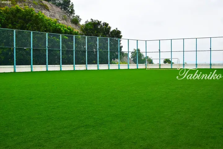 Green artificial turf soccer field with blue fencing and a hillside backdrop.