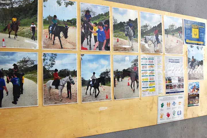 Children learning to ride horses at an outdoor equestrian center in Malaysia, displayed on a wooden notice board.