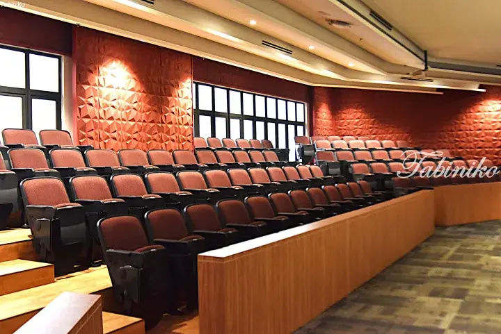 Rows of empty auditorium seats with terracotta upholstery and geometric wall panels in a modern lecture hall.