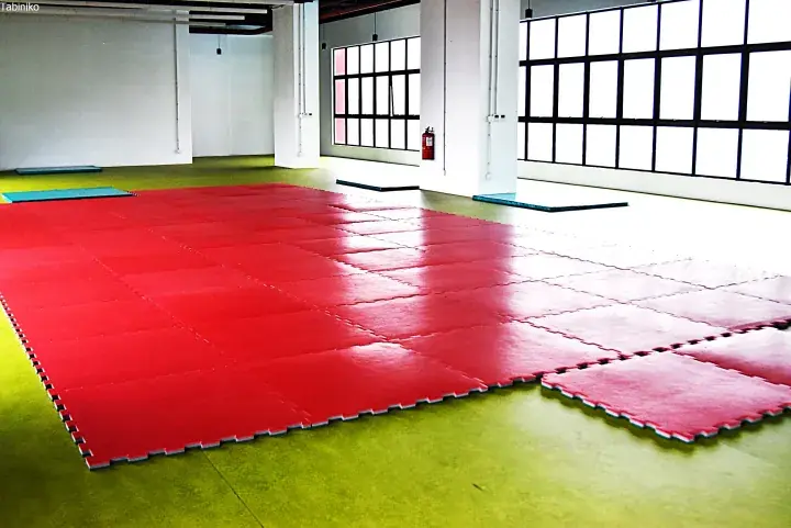 Spacious gym interior with large red interlocking foam mats on a green floor, featuring industrial-style windows and white pillars.