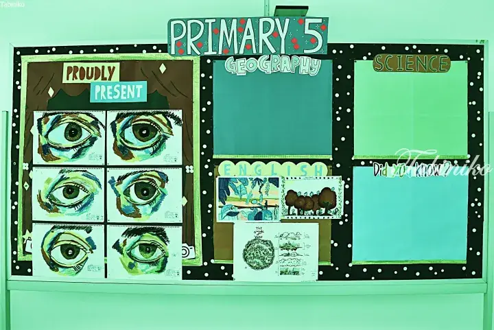 Primary 5 classroom bulletin board displaying student art, geography, science, and English project work.