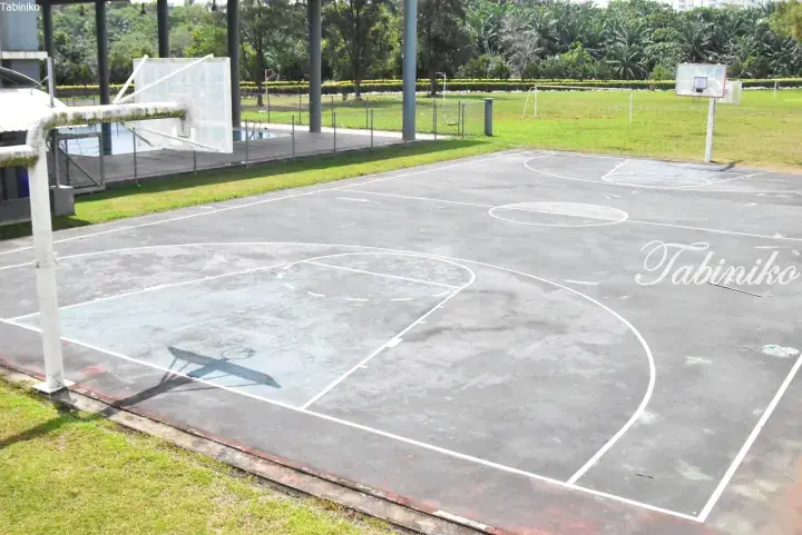Outdoor basketball court with white lines and hoops, surrounded by grass and trees in a park setting.