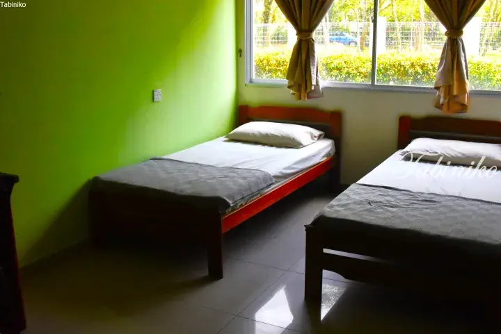 Bright bedroom with lime green walls, two single beds, and a window overlooking a garden.