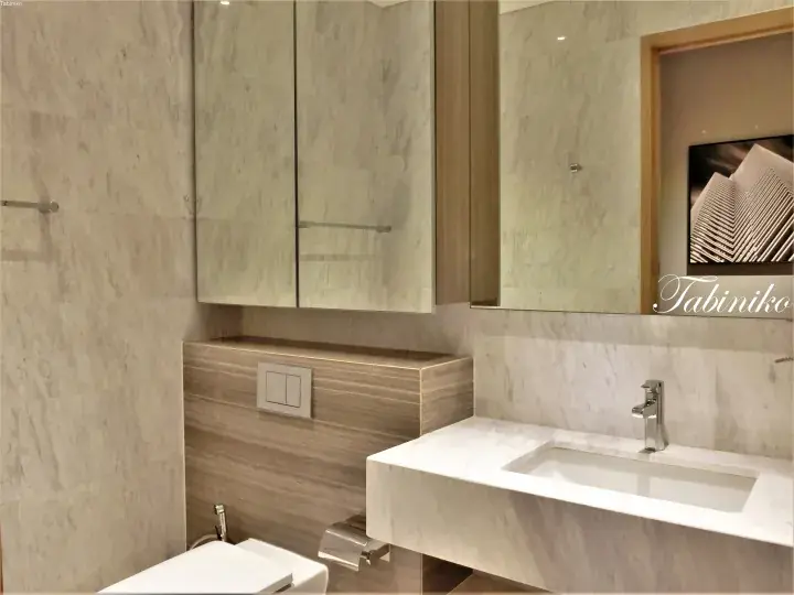 Modern bathroom with marble sink, wooden accents, and mirrored cabinet in a luxury property.