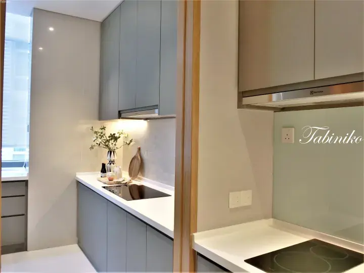 Modern kitchen with grey cabinets, white countertops, and an Electrolux range hood.