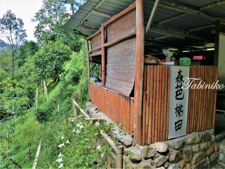 Rustic bamboo cafe with a sign reading ‘Sen芭梯田’ nestled in lush green hills.