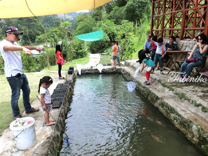 Children and adults enjoy fishing in a pond at a Malaysian nature park, guided by an instructor.