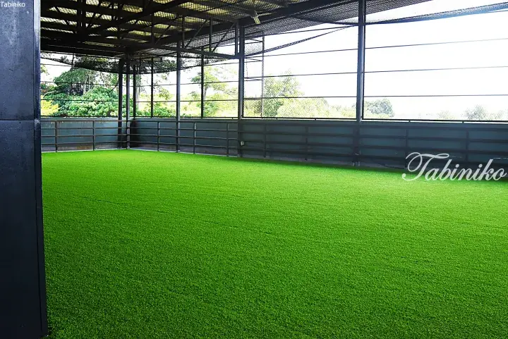 Spacious indoor artificial turf field with netting and metal fencing, ideal for sports or events.