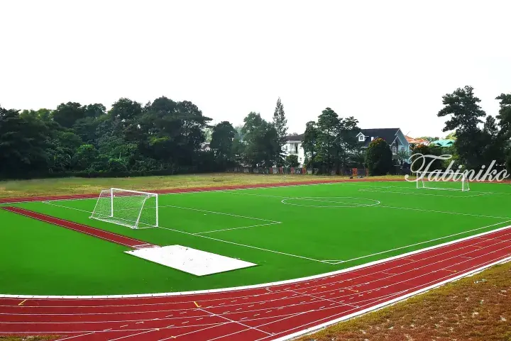 Aerial view of a green football pitch with white goalposts surrounded by a red running track and trees.