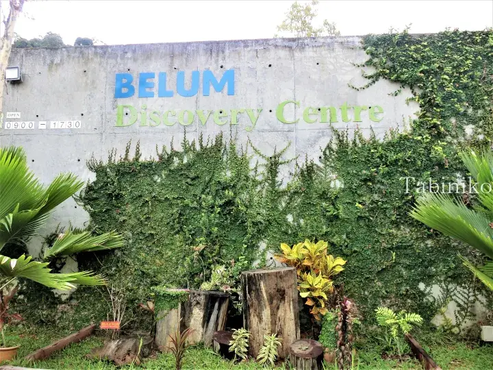 Concrete wall with blue and green signage for Belum Discovery Centre, surrounded by lush greenery and tropical plants.