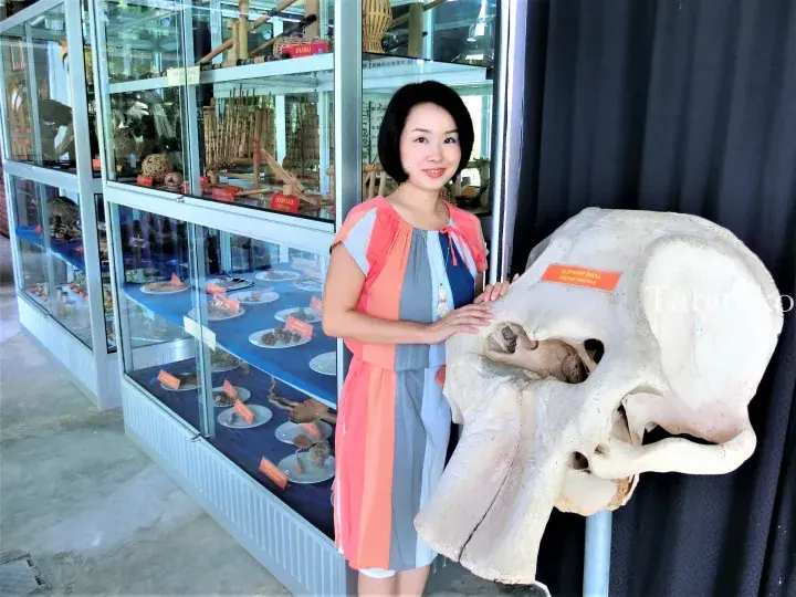 Woman posing with an Asian elephant skull exhibit at a museum in Malaysia.