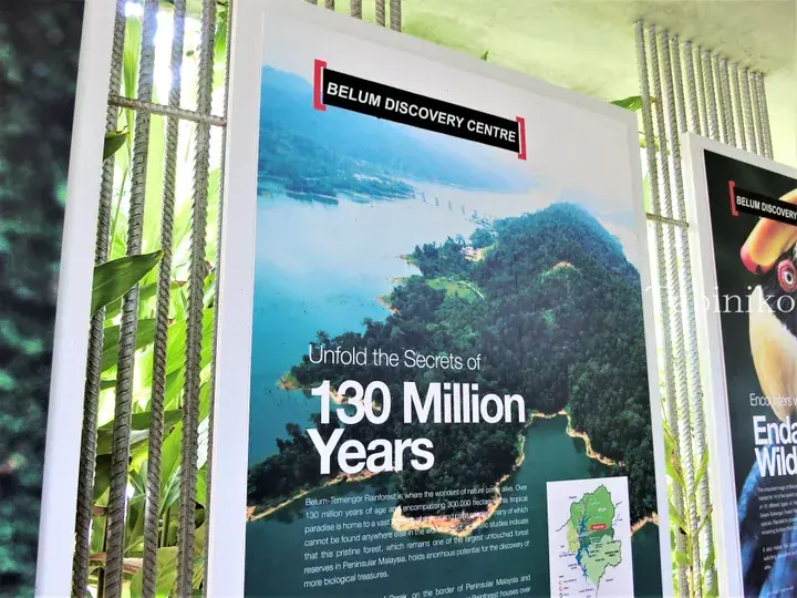 Belum Discovery Centre sign promoting the 130 million year old Belum-Temengor Rainforest in Malaysia.