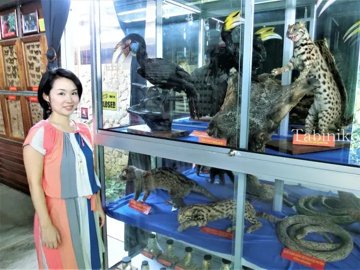 Woman posing beside a glass display case featuring taxidermy specimens of hornbills, leopard cats, and a reticulated python.