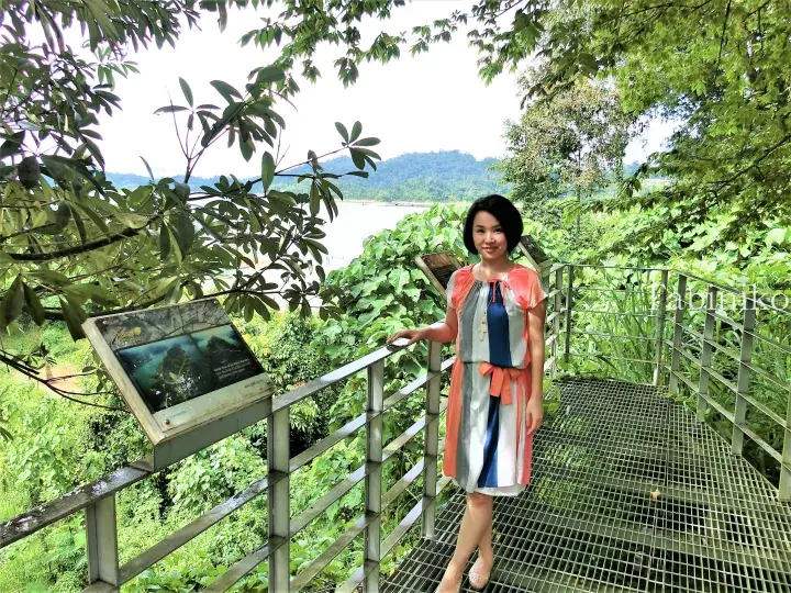 Royal Belum Rainforest Resort 3-Day, 2-Night Itinerary – Day 1: Visit the Discovery Center, Observation Tower, Stingless Bee Farm, and Night Trekking