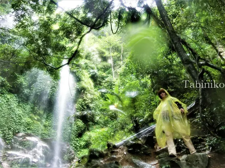 Traveler in yellow raincoat stands near a lush jungle waterfall in Malaysia&rsquo;s tropical forest.