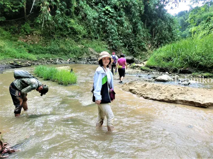 Tourists wade through a muddy river in a lush Malaysian jungle, guided by a local trekker.