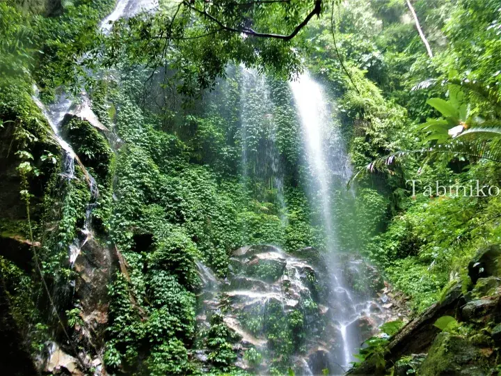 Towering waterfall cascading down mossy rocks in a lush Malaysian rainforest, surrounded by dense green foliage.