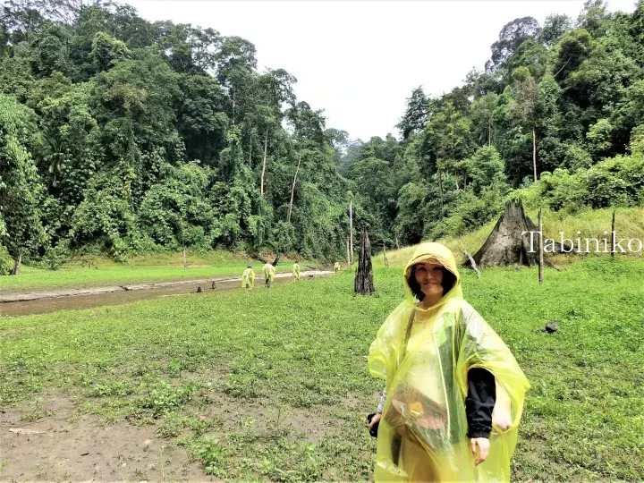 Woman in yellow raincoat walking through a lush green clearing in a Malaysian rainforest with a stream.