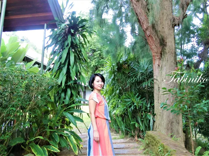 Woman in colorful dress standing on garden path surrounded by lush tropical plants and a large tree.