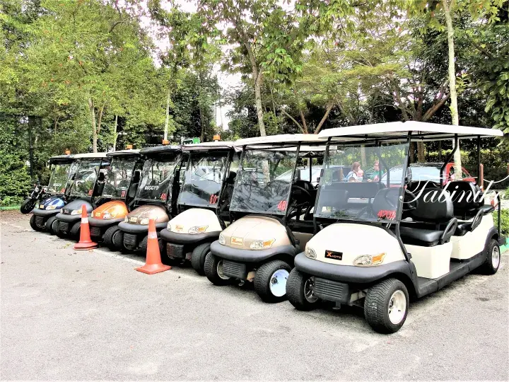 Row of colorful electric buggies parked on a paved lot surrounded by lush green trees.