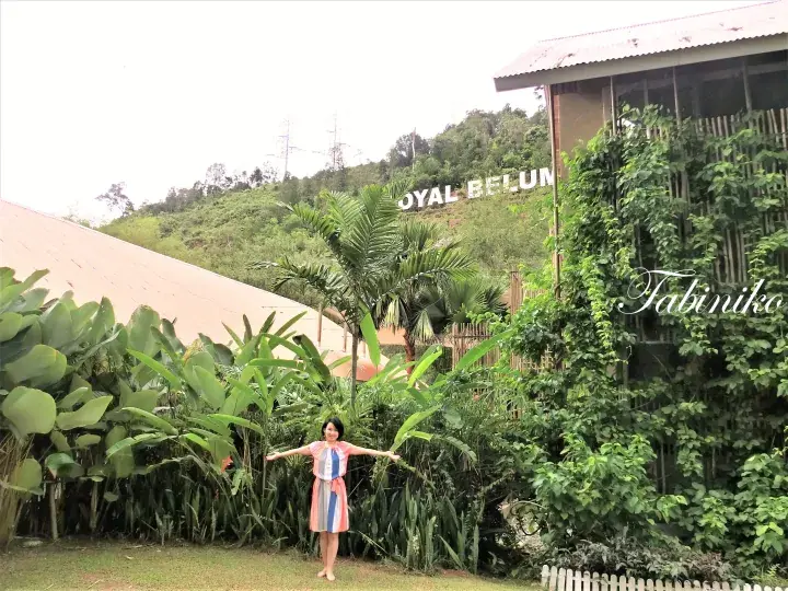 Woman posing in front of lush greenery with Royal Belum sign on hillside at Tabiniko resort.