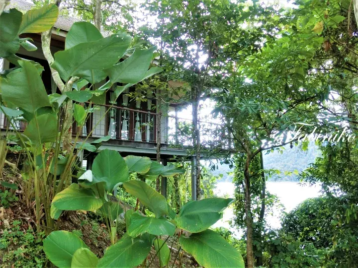 Elevated wooden bungalow surrounded by lush tropical foliage with a view of the lake and mountains.