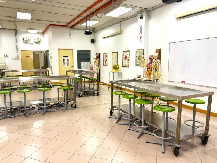 Anatomy lab with stainless steel tables, green stools, and human skeleton models in a Malaysian university setting