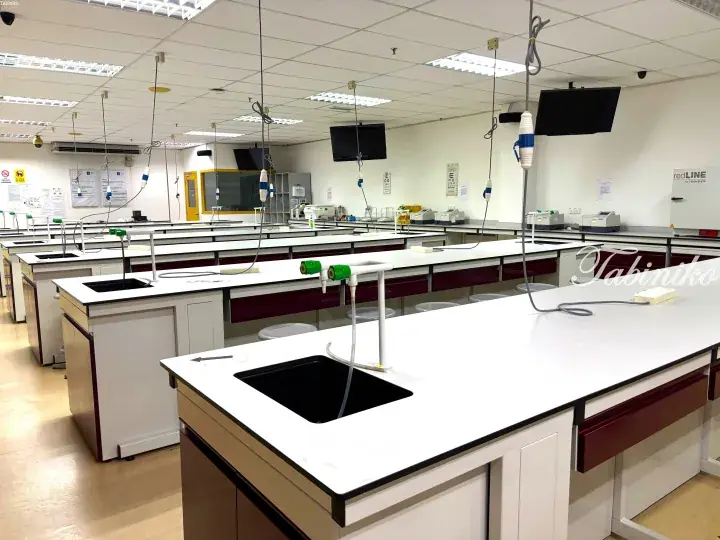 Modern laboratory with white countertops, maroon cabinets, and overhead utility fixtures in a bright room.