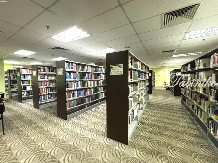Interior view of a library with rows of bookshelves filled with books and patterned carpet flooring.