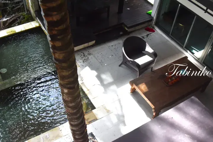 High-angle view of a private poolside patio with a palm tree, wicker chair, and wooden table at a Malaysia villa.