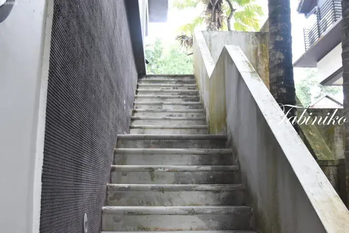 Concrete staircase leading up between a dark textured wall and a white retaining wall, surrounded by lush tropical greenery.