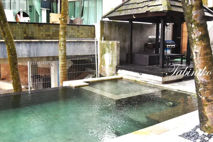 Private pool with wooden gazebo and palm trees at a luxury property in Malaysia.