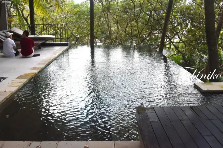 Private infinity pool overlooking lush tropical forest at a luxury villa in Malaysia.