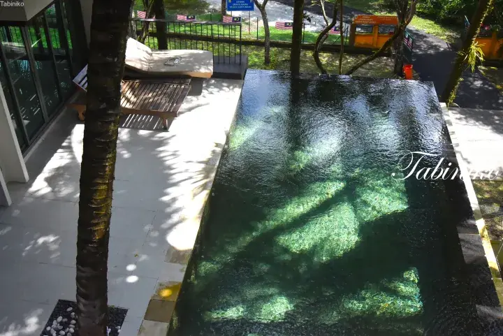 Modern infinity pool with clear water and wooden deck chairs in a lush tropical garden setting.