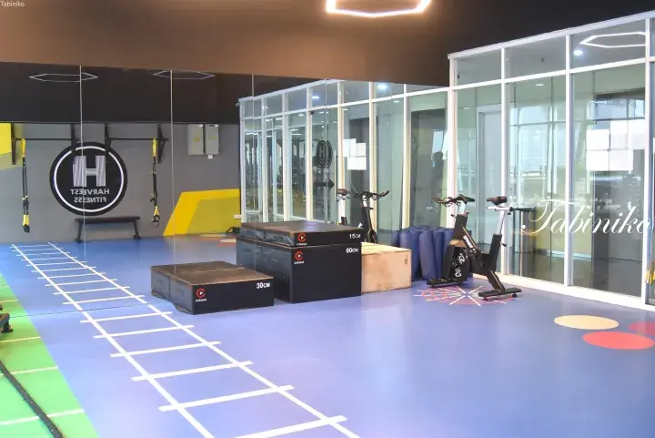 Functional training area with plyometric boxes, agility ladder, and spin bikes at Harvest Fitness gym.