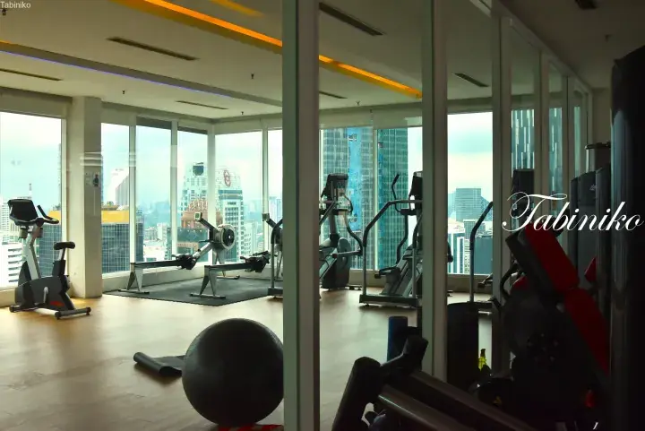 Modern gym with city views featuring exercise bikes, rowing machines, and an exercise ball.