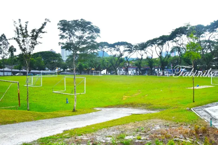 Green soccer field with multiple goals, surrounded by trees and city buildings in the background.