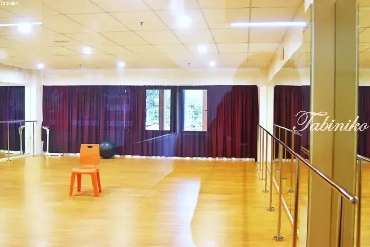 Bright dance studio with wooden floors, mirrors, ballet barres, and a red curtain backdrop.