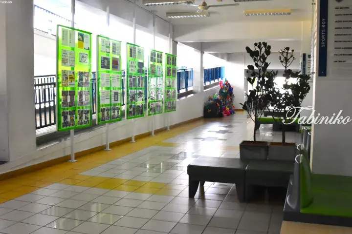 Bright school corridor with green display boards, tiled floors, and seating area near potted plants.