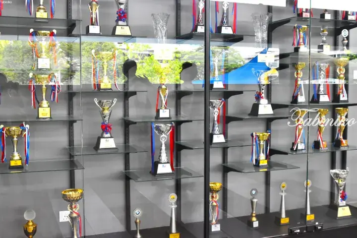 Glass display cabinet filled with various gold and silver trophies and awards on shelves.